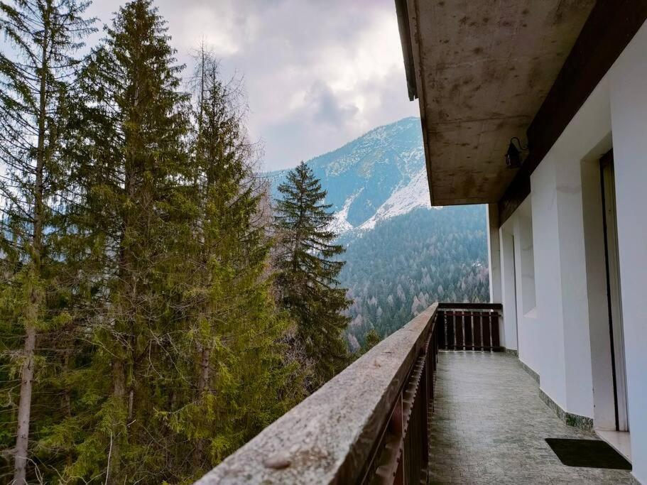 Apartament Il Terrazzo Sulle Dolomiti Cibiana Zewnętrze zdjęcie