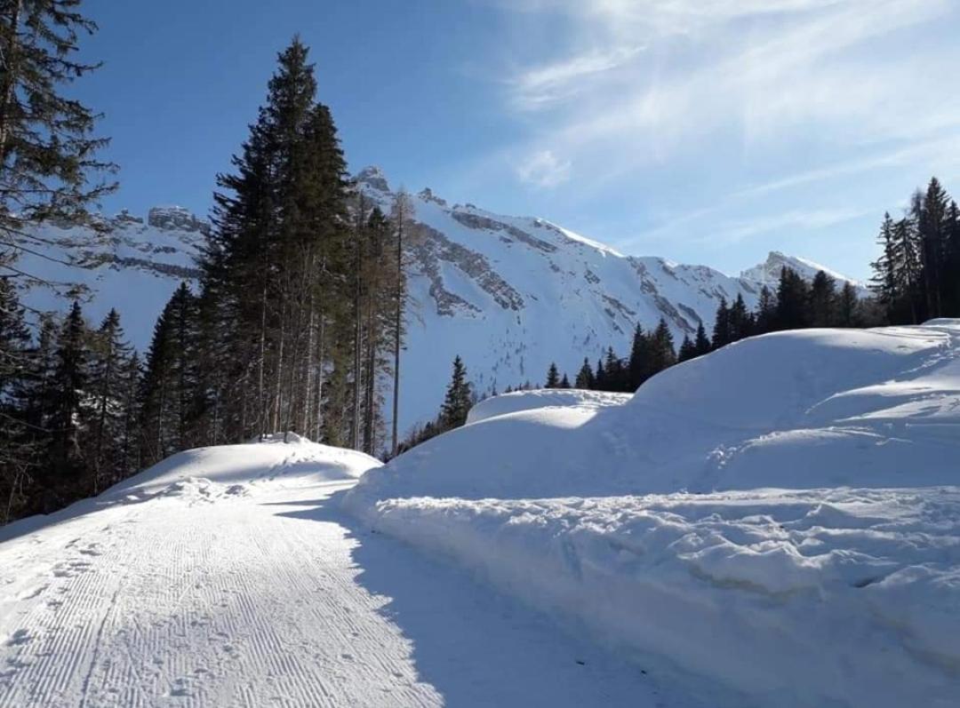 Apartament Il Terrazzo Sulle Dolomiti Cibiana Zewnętrze zdjęcie