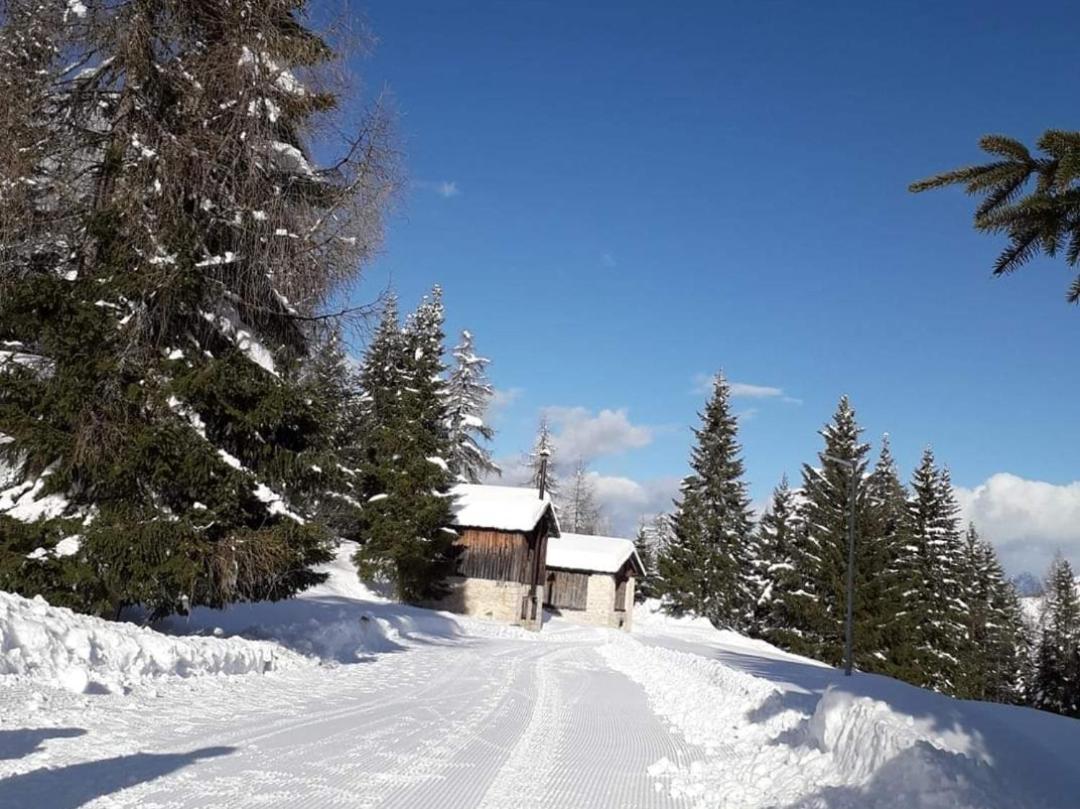 Apartament Il Terrazzo Sulle Dolomiti Cibiana Zewnętrze zdjęcie